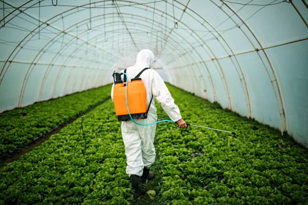 Best Pest Control Treatment  in Long Neck, DE