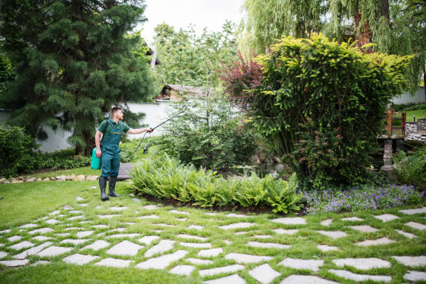 Best Local Pest Control Services  in Long Neck, DE