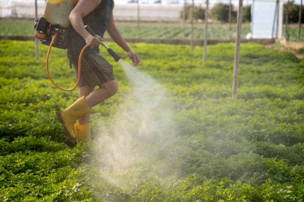 Best Best Pest Control Companies  in Long Neck, DE