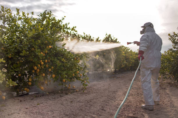 Best Pest Control Near Me in Long Neck, DE