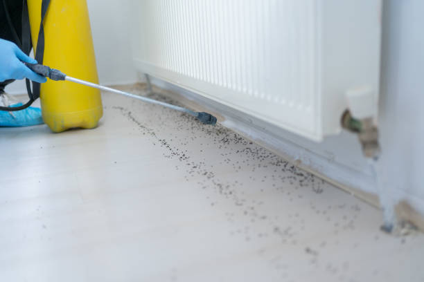 Best Residential Pest Control  in Long Neck, DE